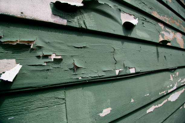 Best Storm Damage Siding Repair  in Kernersville, NC